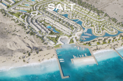 سولت فيليدج