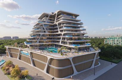 سامانا كاليفورنيا 2